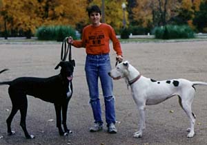 Carol North with her Great Danes in Tower Grove Park.