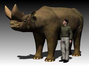 *Arsinoitherium* from Chilga, Ethiopia: Computer-based reconstruction of an arsinoithere, an extinct fossil mammal from Ethiopia that lived 27 million years ago. Height at the shoulder is around 7 feet. Human included for scale.