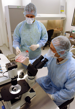 Research lab supervisor Jon Walker (left) and Good Manufacturing Practice (GMP) center Director Gerhard Bauer prepare for a leukemia clinical trial.