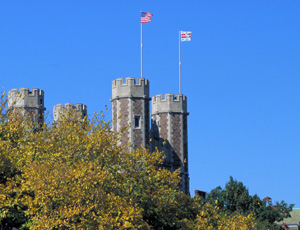 A view of Brookings Hall through the treetops