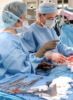 During the seven-hour procedure, Brandt and nurse Debbie Deslauriers build a new breast from the tissue, arterie and veins of the patient's abdominal wall.