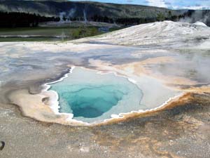 A hot spring at old faithful in Yellowstone National Park, Wyoming. A WUSTL scientist suggests that Cyanobacteria arose in freshwater environments rather than in the sea.