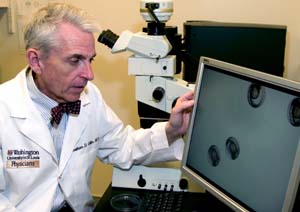 Jonathan D. Gitlin, M.D., director of the new Division of Genetics and Genomic Medicine in the Department of Pediatrics, analyzes zebrafish embryos, which offer a great model for investigating human development and genetics because of their transparent state. The results of genetic mutations can be readily seen and tracked at the level of the individual cell.