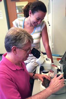 Bruce Fegley examines a meteorite while Laura Schaefer looks on.