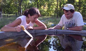 Stephanie Gallitano, a junior chemistry student in Arts & Sciences, works with postdoctoral researcher James Vonesh, Ph.D., at the University's Tyson Research Center. There, Gallitano discovered larvae that turned out to be *Ochlerotatus japonicus*, signifying the western-most identifying of the exotic species in the central and eastern United States. These mosquitoes are a vector of the West Nile virus and St. Louis encephalitis.