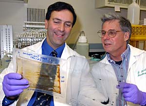 Alex Evers (left) examines proteins with colleague Joe Henry Steinbach.