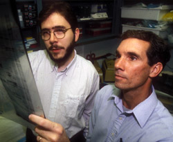 Mark Watson, left, and Timothy Fleming examine gels.