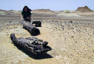 Josh Smith in the Libyan desert.