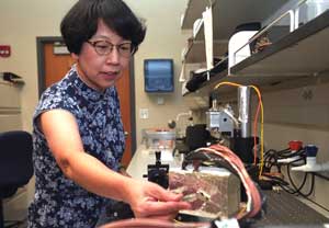 Alian Wang, Ph.D., WUSTL senior research scientist in earth and planetary sciences, works in her lab. She and fellow Athena science and engineering team member Ron Li, Ph.D., of Ohio State University made a proposal to name features on Mars for Chinese mythological characters, in conjunction with the Chinese New Year.
