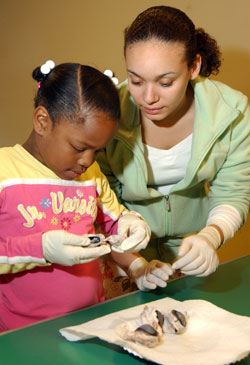 First-grader Fairah Jeffries closely inspects a dissected cow's eyeball in the mini-medicine course at Adams School in the Forest Park Southeast neighborhood, while first-year medical student Saroj Fleming explains the anatomy of the eye.