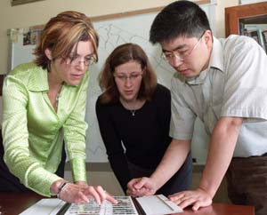 Karen Wooley and lab members inspect polymer samples.