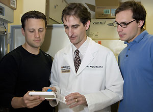 (From left) Paul J. Bernard, M.D., a fellow in pediatric endocrinology, Louis J. Muglia, M.D., Ph.D., and graduate student Jeff Roizen analyze a transfection experiment in Muglia's lab.