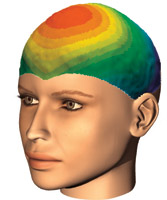 This brain map shows differences in reactions to erotic and neutral visual materials. Red zones represent the largest differences, suggesting that circuits in the frontal parts of the brain are particularly sensitive to erotic content and the fastest to detect the difference.