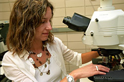 Going FISHin': Olga Pontes used a technique called RNA and DNA FISH to unravel where key proteins  that play big roles in gene silencing are located in Arabidopsis plant cells.