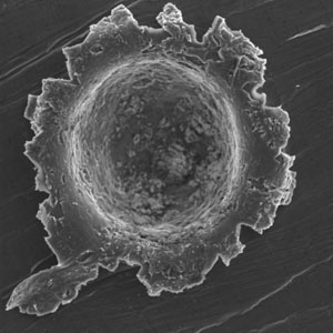 Above is electron microscope image of one of the *Stardust* impact craters in aluminum foil. The diameter of the crater is 140 micrometers (=1/7 of a millimeter = 1/200 of an inch). There is small debris at the bottom and on the rim of the crater that is leftover residue from the comet particle that impacted at approximately 14,000 miles per hour. This is not the crater where Stadermann's team found the *Stardust* particle, but it is a fairly typical impact crater.