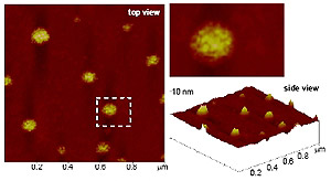 The magnified nanoparticles shown here are actually about 1,000 times smaller than the width of a human hair.