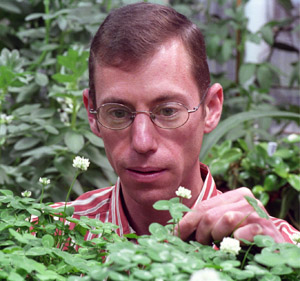 Kenneth Olsen is studying the genetics of two types of clover to determine why one type is cyanogenic (toxic) and the other is not.