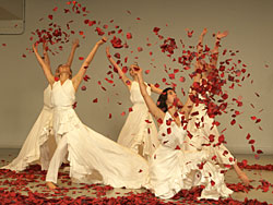 *Falling Petals*