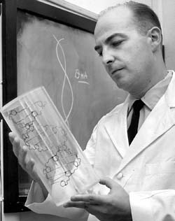Arthur Kornberg