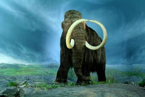 Royal BC Museum, Victoria, British Columbia/Wikimedia Commons 475pxarlington-canyon-santa-rosa-island-california