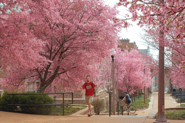 Danforth Campus Named a Tree Campus USA