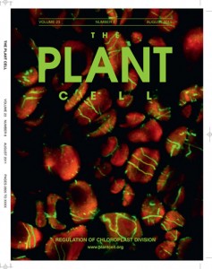 Cover of magazine The Plant Cell