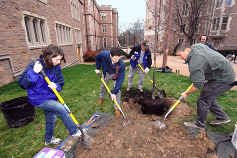 750th tree Washington University