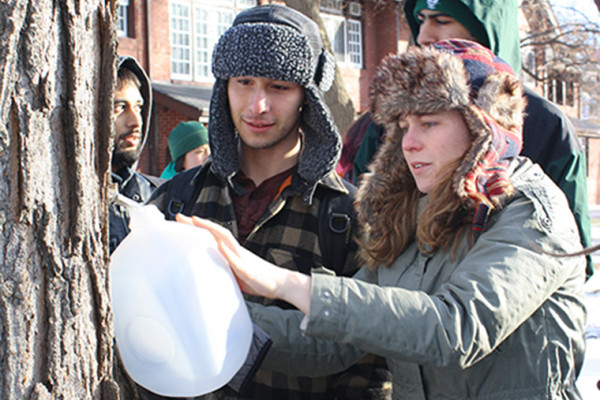 Maple trees on campus tapped for class — and brunch