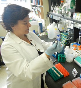 Researcher