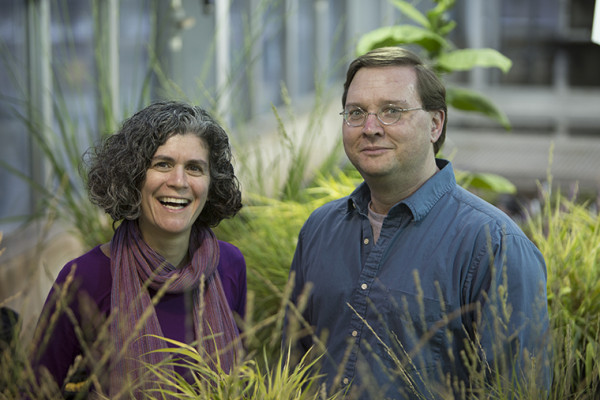 Danforth Fellowships in plant sciences announced