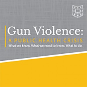 Gun Violence: a Public Health Crisis