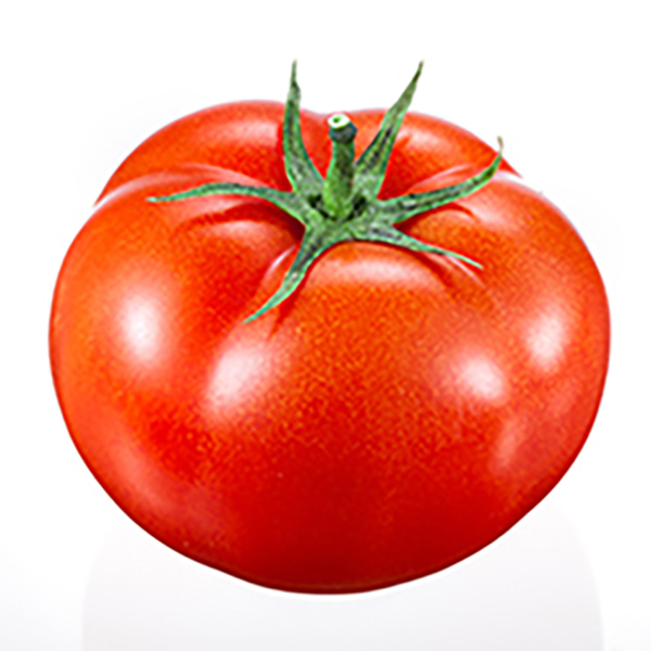 Tomatoes () Tomatoes