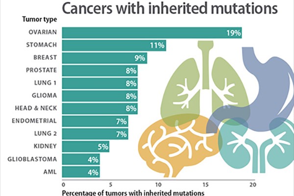 Study uncovers inherited genetic susceptibility across 12 cancer types​​