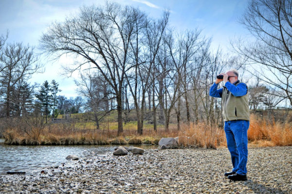 Migratory birds: Hidden in plain sight