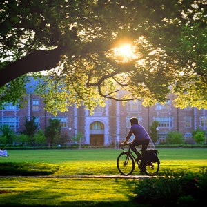 A student rides a bike across campus in the evening.