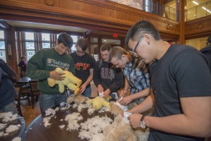 students stuff teddy bears