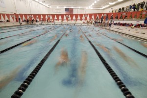 swimmers in pool