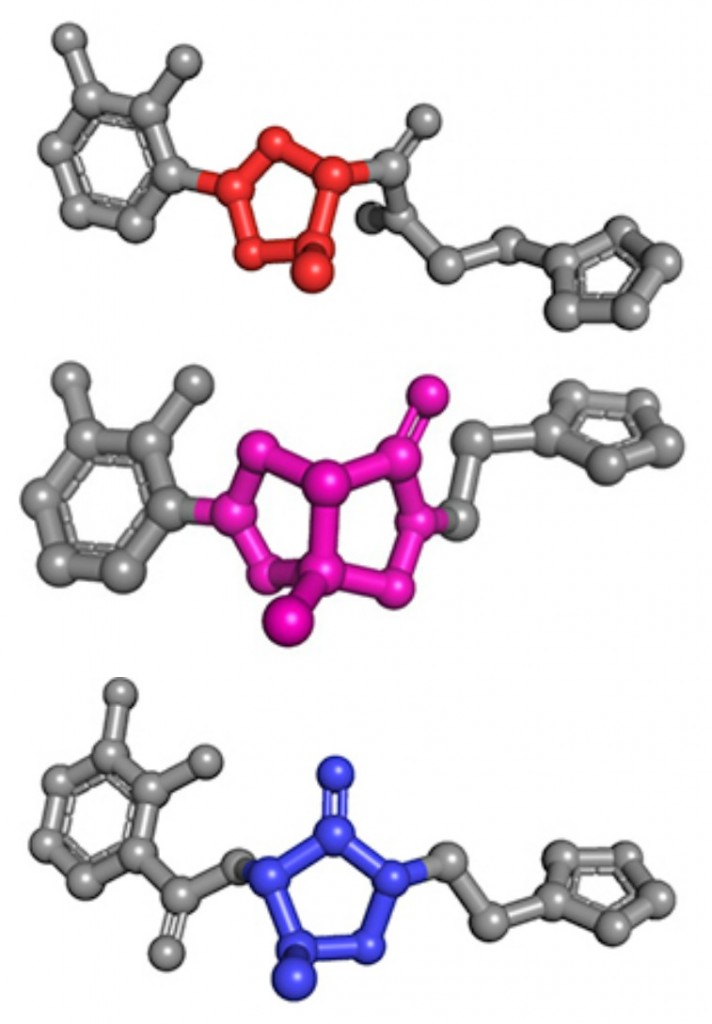 Shape-shifting virulence factor,