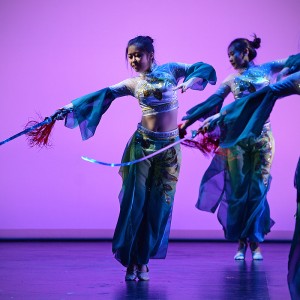 performers dance with swords