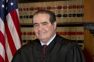 New Scalia