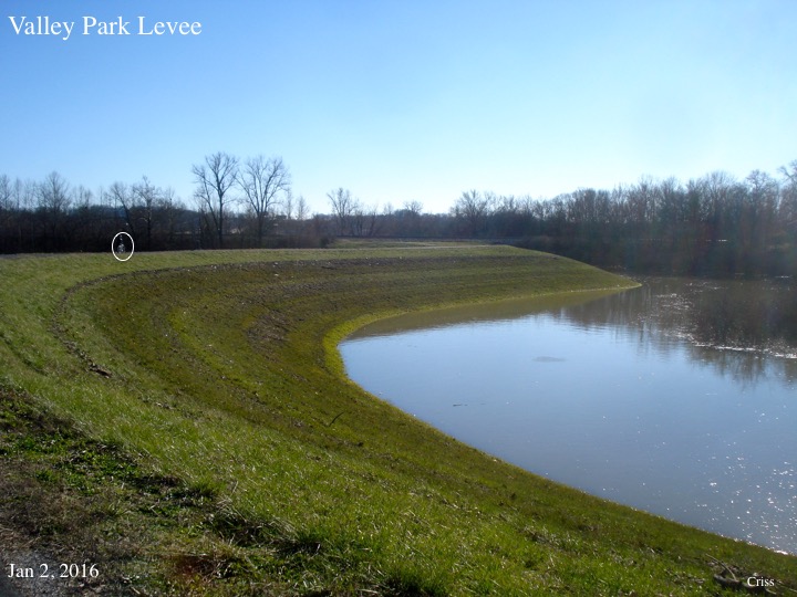 Valley Park levee