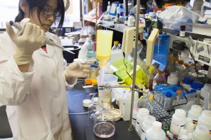 Haiyan Zhao purifies the Zika surface protein.