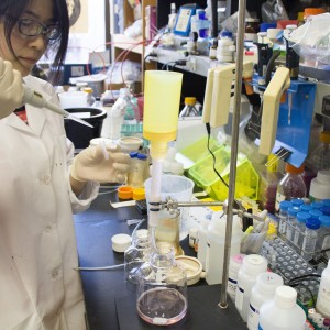 Haiyan Zhao purifies the Zika surface protein.