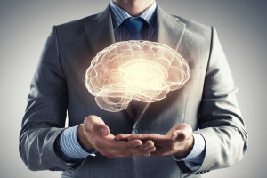 An image of the brain