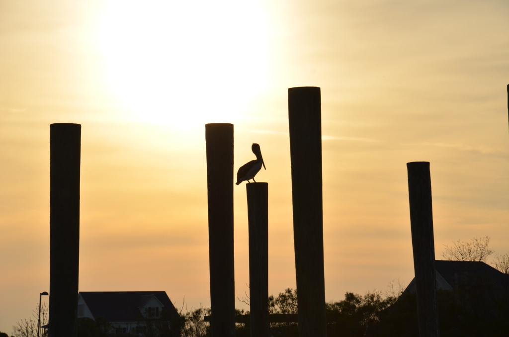 A pier at sunset