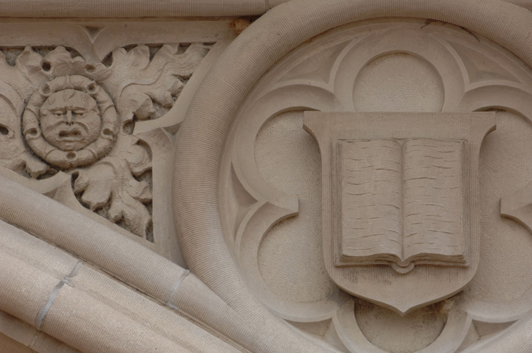 Board grants faculty appointments, tenure