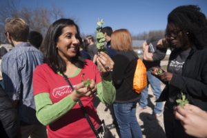 Engineering students from Washington University in St. Louis participated in tour of EarthDance Farms in Ferguson, Mo. Thursday, March 17, 2016, as part of a Spring Break class taught by Sandra Matteucci and Seema Dahlheimer. Dahlheimer hands out sample legumes plucked from the fields at EarthDance. Photo by Sid Hastings / WUSTL Photos