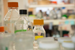 Lab image