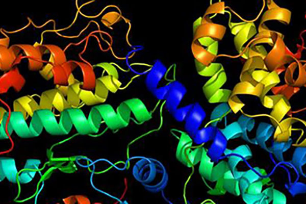 How to stop dividing cancer cells in their tracks