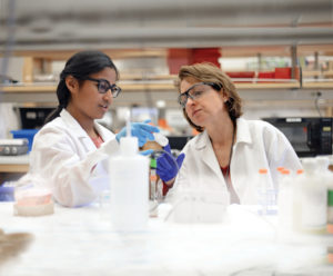 Professor Lori Setton (right) and collaborators, including Pranali Tambe (left), a visiting research associate, are looking at new materials for regenerating soft tissue, which could lead to new therapies for back pain. (Photo: James Byard)